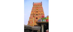 காரமடை